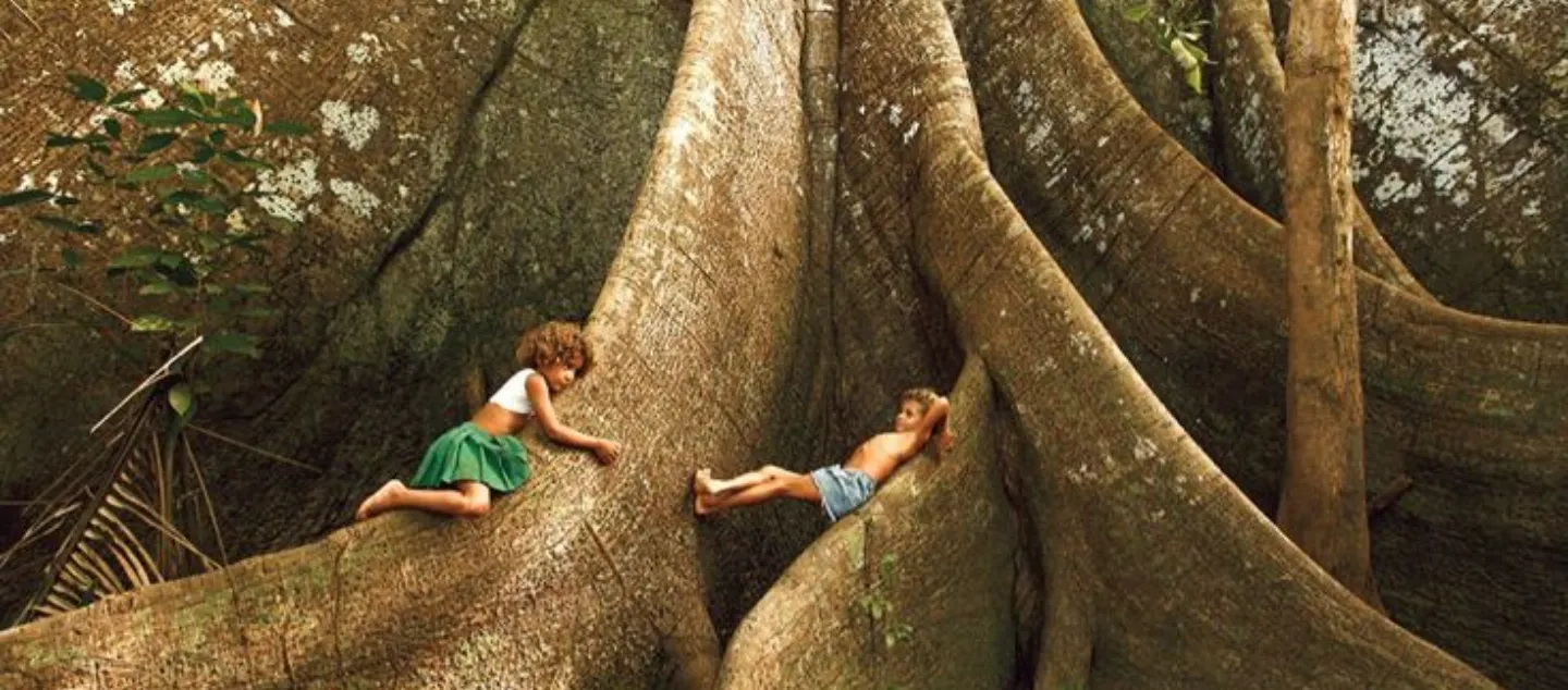 The Transformative Power of Play Picture