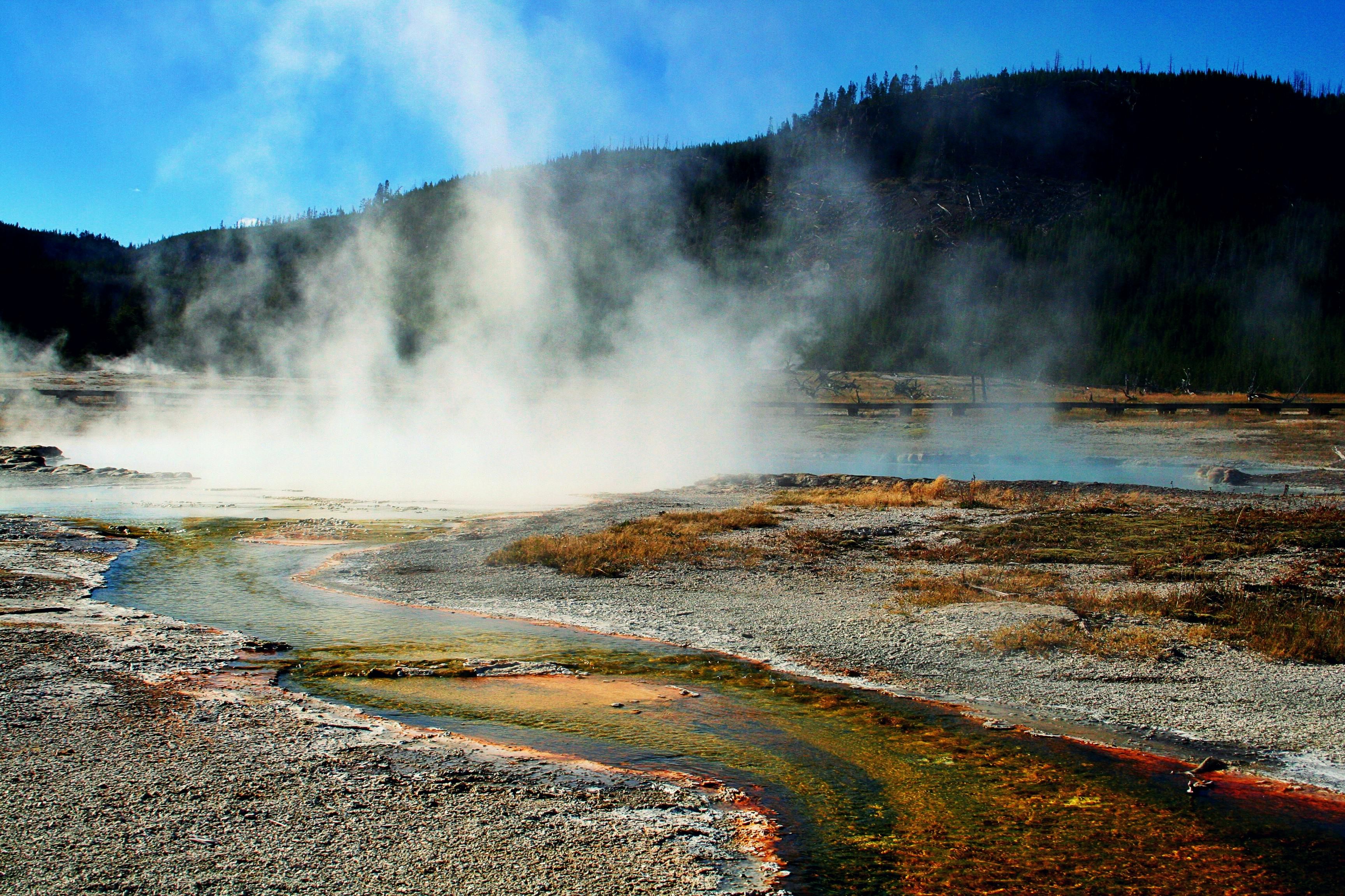 Fermentation and its link to the dawn of life on Earth Picture