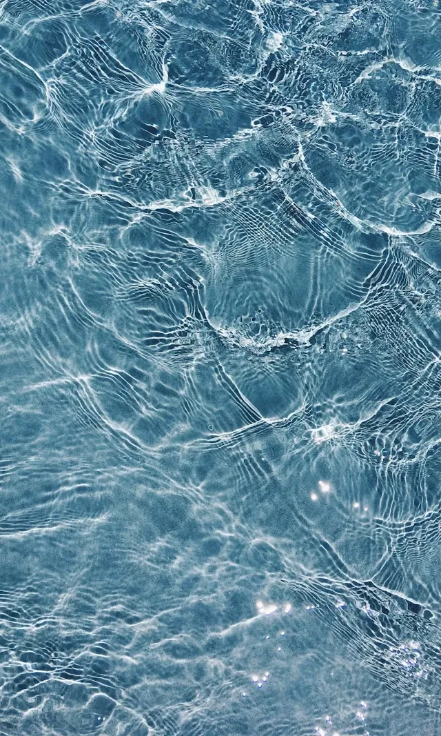 Chapter 2: Materiality & Hybridity of Water Beings