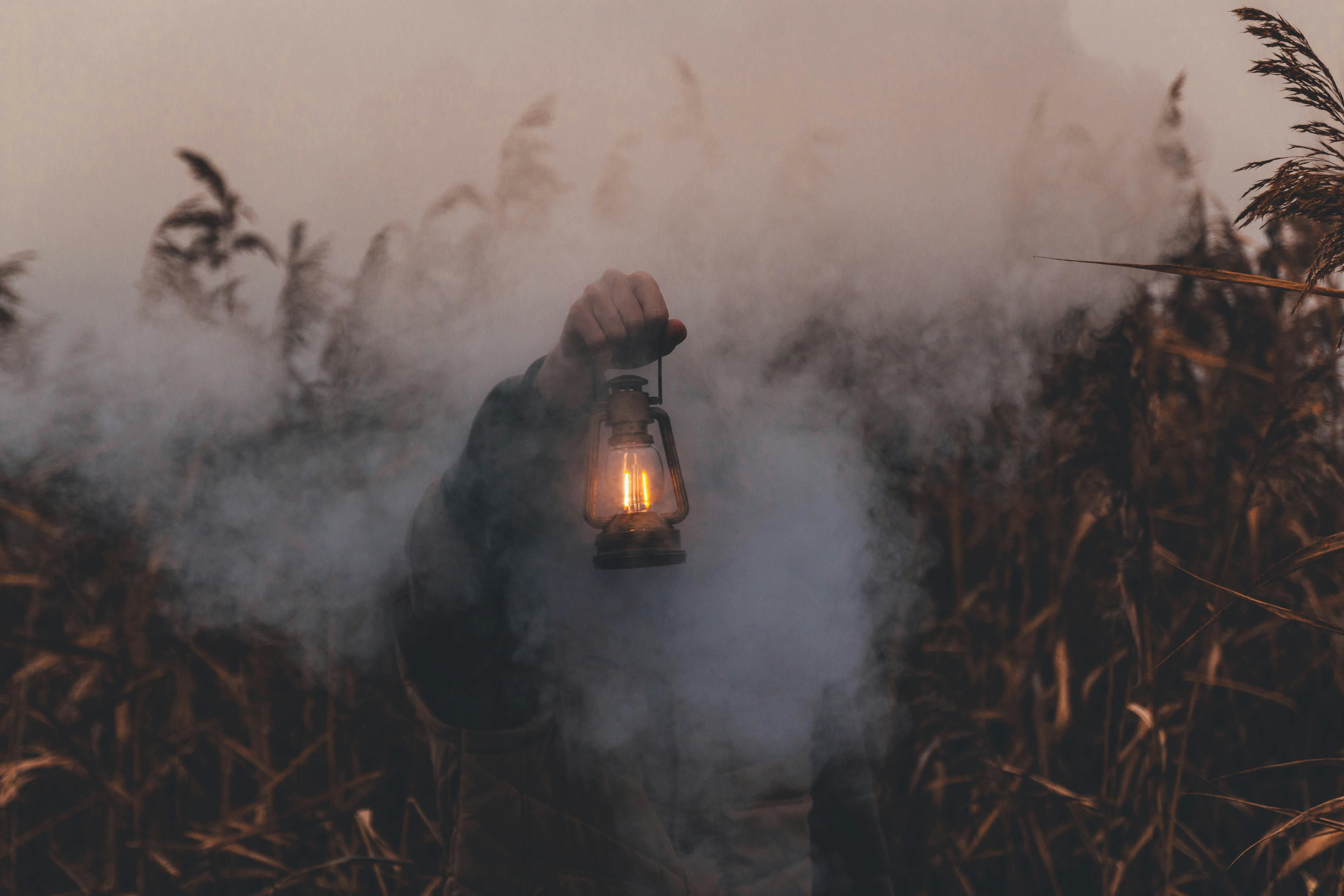 Cultivating response-ability amidst the trouble Picture