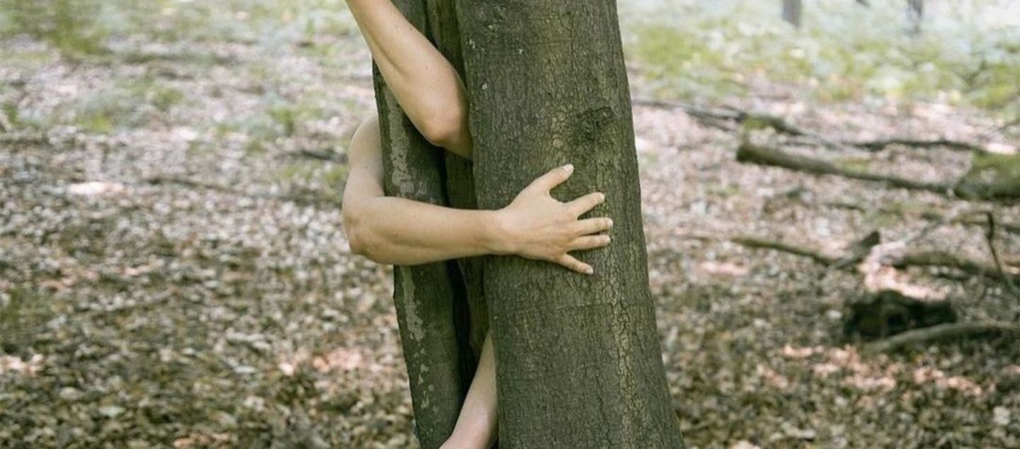 Cultivating Connection to Land with Antonia Estela Pérez Picture