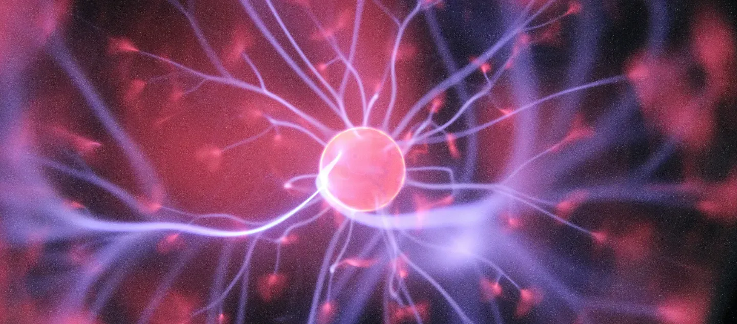 Are Minds Confined to Brains? Picture
