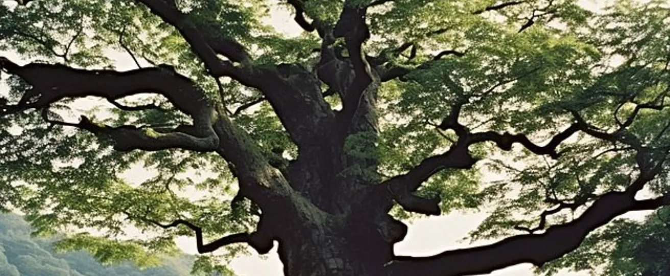 Chapter 1: The Sacred Hazel Tree in Cinderella