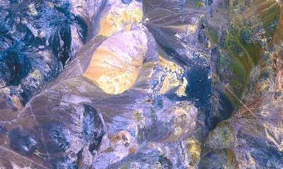 Life Force: Art, activism and other ways of moving (English)