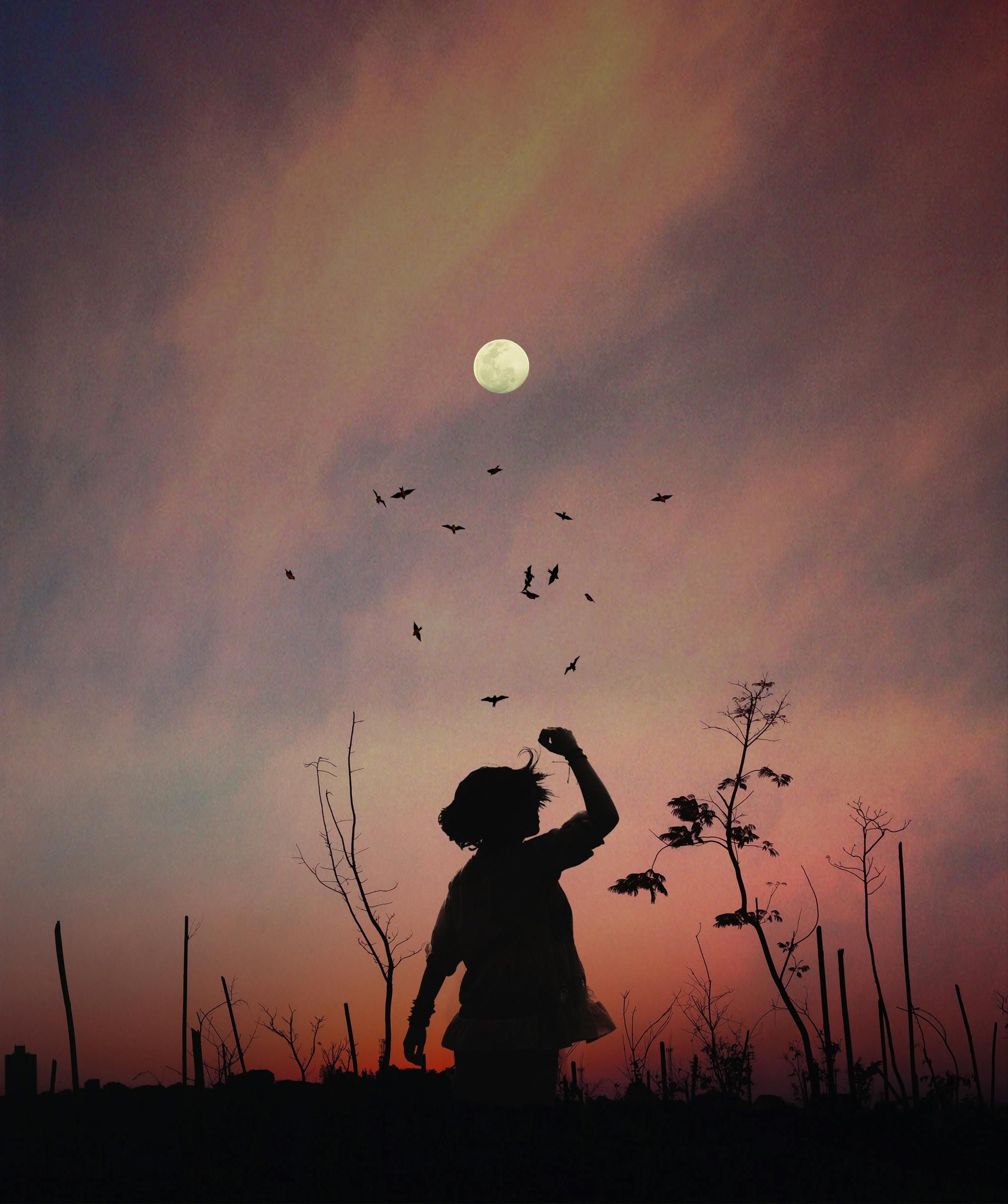 Why people seek spirituality with John Vervaeke Picture