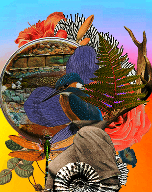 The Shifting Sands of Cultural Truths