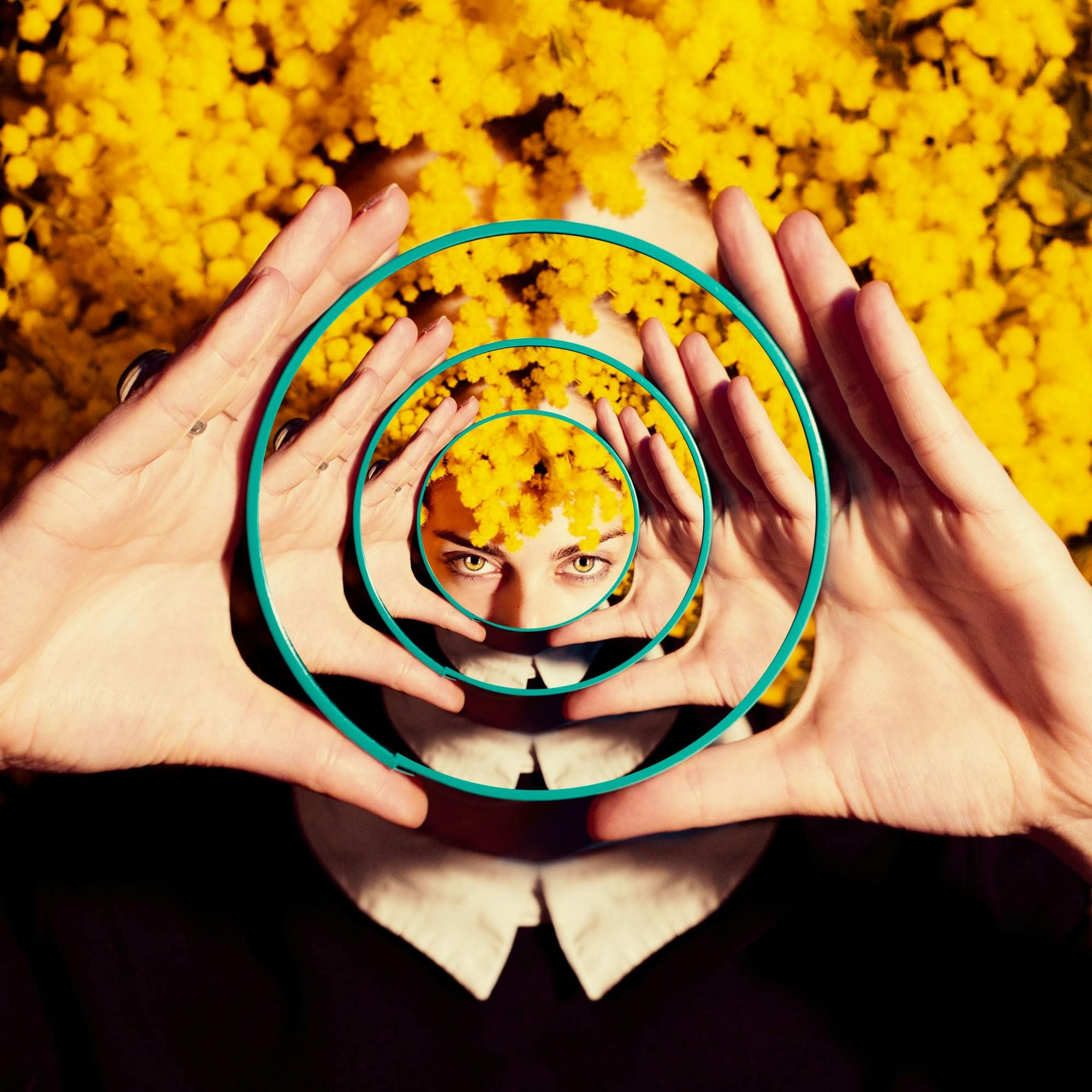 Augury as disruption to the attention economy Picture