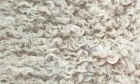Chapter 1: Threads of Resistance and Memory