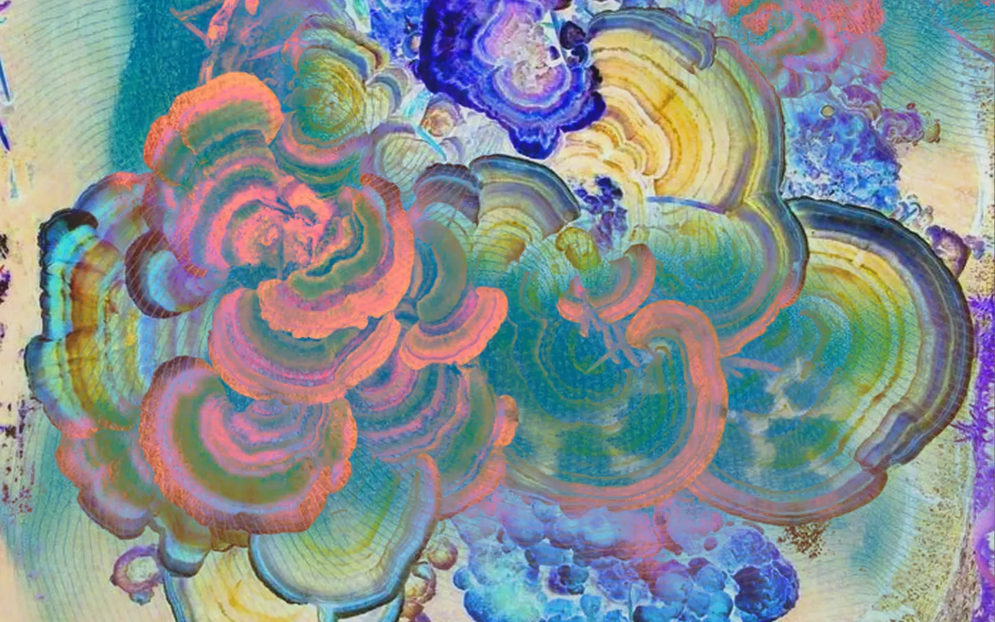 Fungal Associates Picture