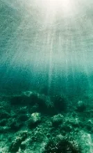 Lessons on Liberation, from Water Picture