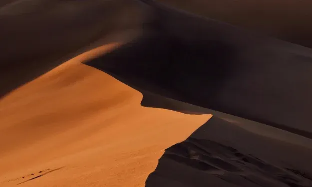 Origins of Belief: The Power and Purpose of Meaning