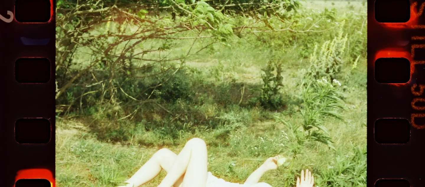 Marija Gimbutas on Matriarcal Goddesses  Picture