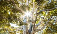 Demystifying Spirituality: Welcoming the Sacred and Understanding the Profundity of the Profane