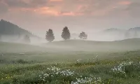 Chapter 1: Introduction to the Ground and Field